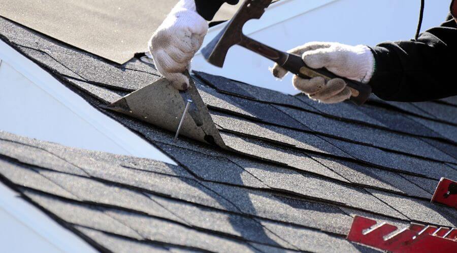 Professional gutter cleaning in Champlain, VA